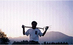 �[�Ă��̂��Δ�